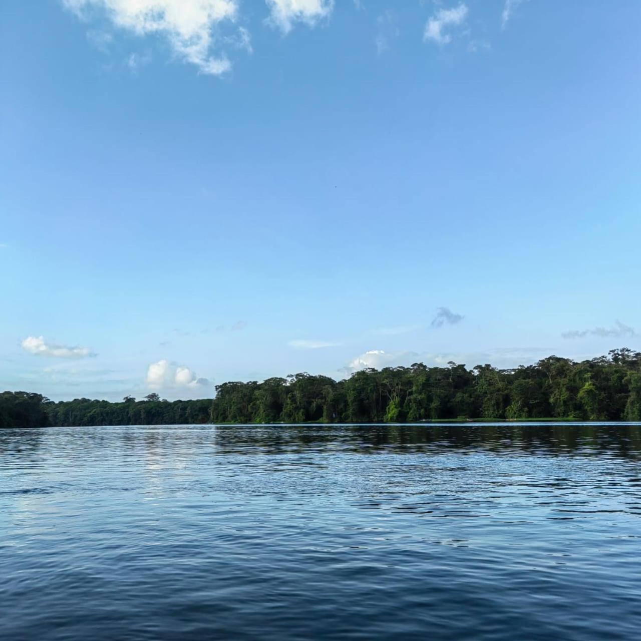 Tortuguero Villas Ngoại thất bức ảnh