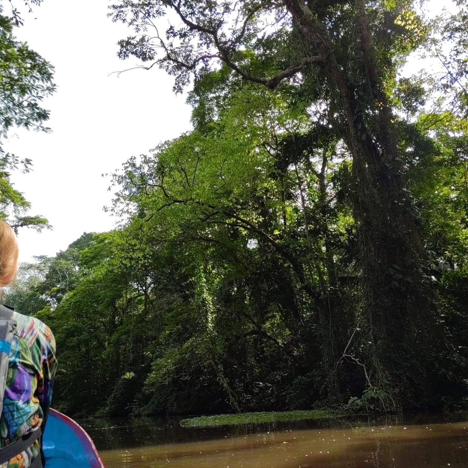 Tortuguero Villas Ngoại thất bức ảnh