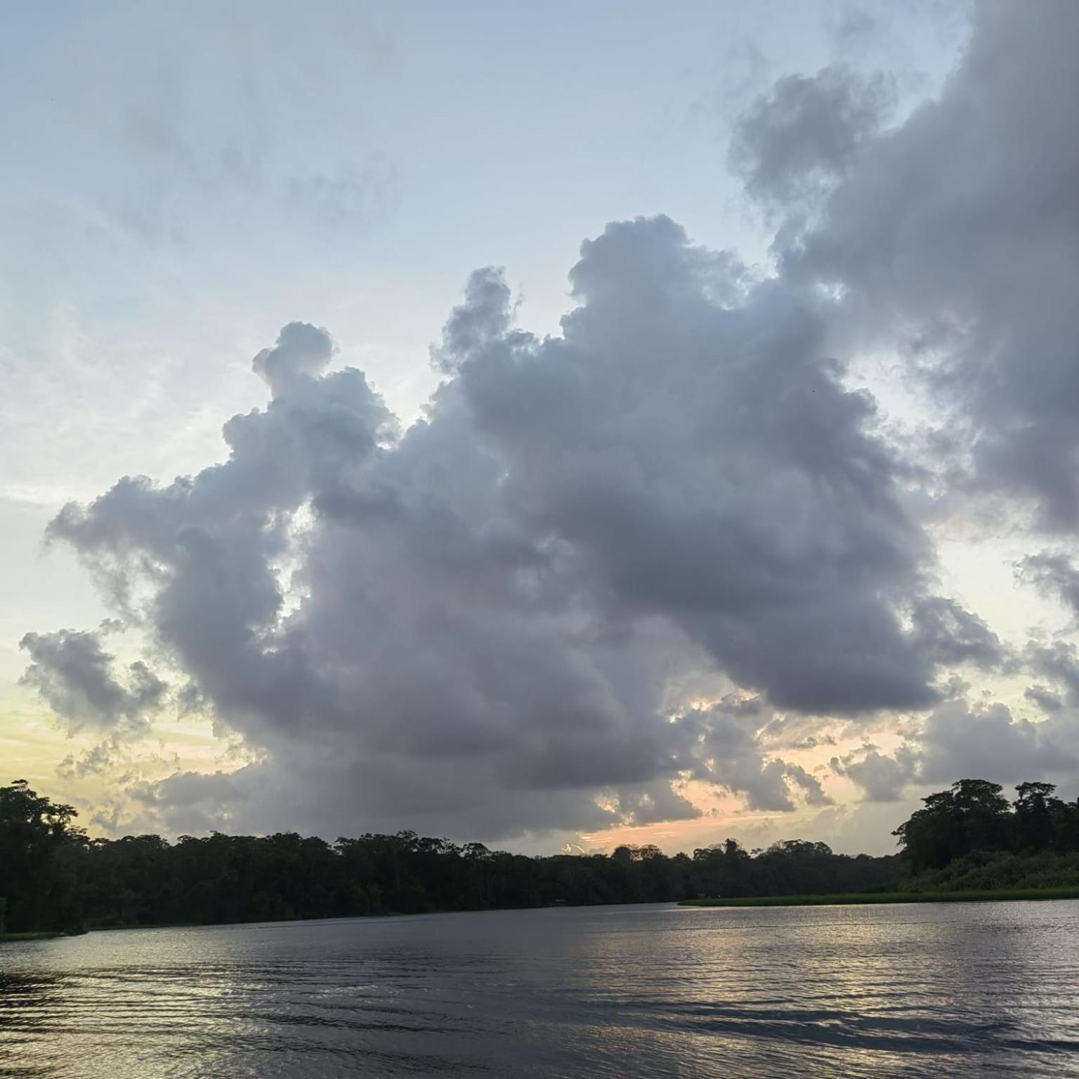 Tortuguero Villas Ngoại thất bức ảnh