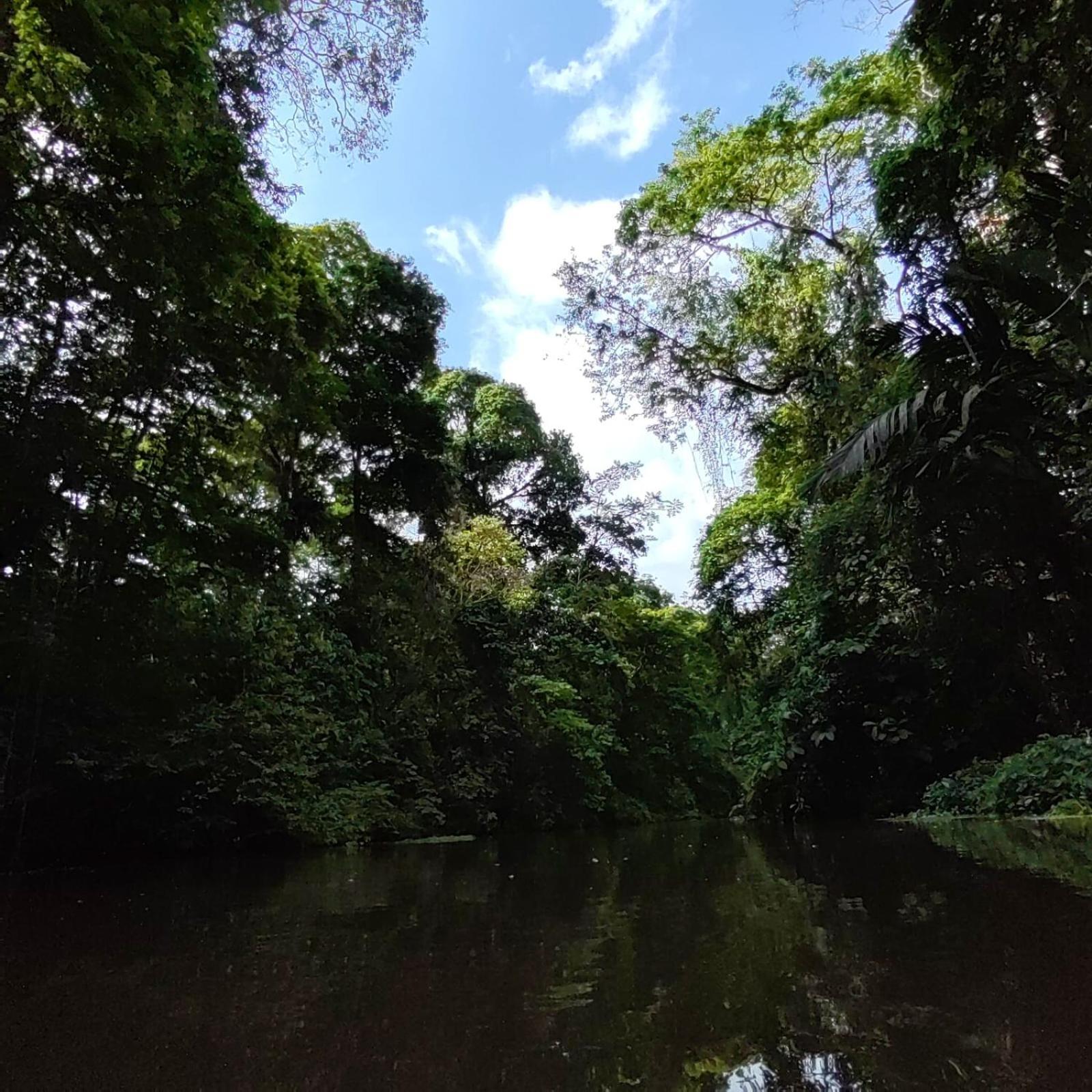 Tortuguero Villas Ngoại thất bức ảnh